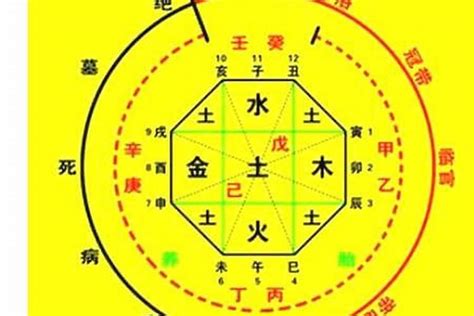 小孩八字|生辰八字算命、五行喜用神查询（免费测算）